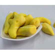 Frozen IQF Ginger Whole Peeled High Quality